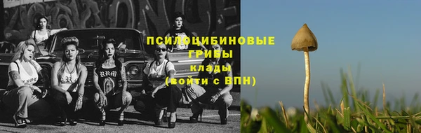 спайс Абаза