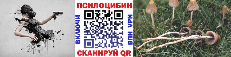 где купить наркоту  Ирбит  Псилоцибиновые грибы мухоморы 