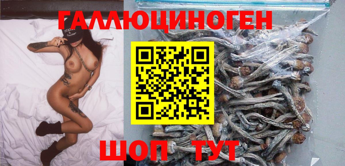 Галлюциногенные грибы мухоморы  Псилоцибиновые грибы мицелий  Ирбит  Вход с VPN 